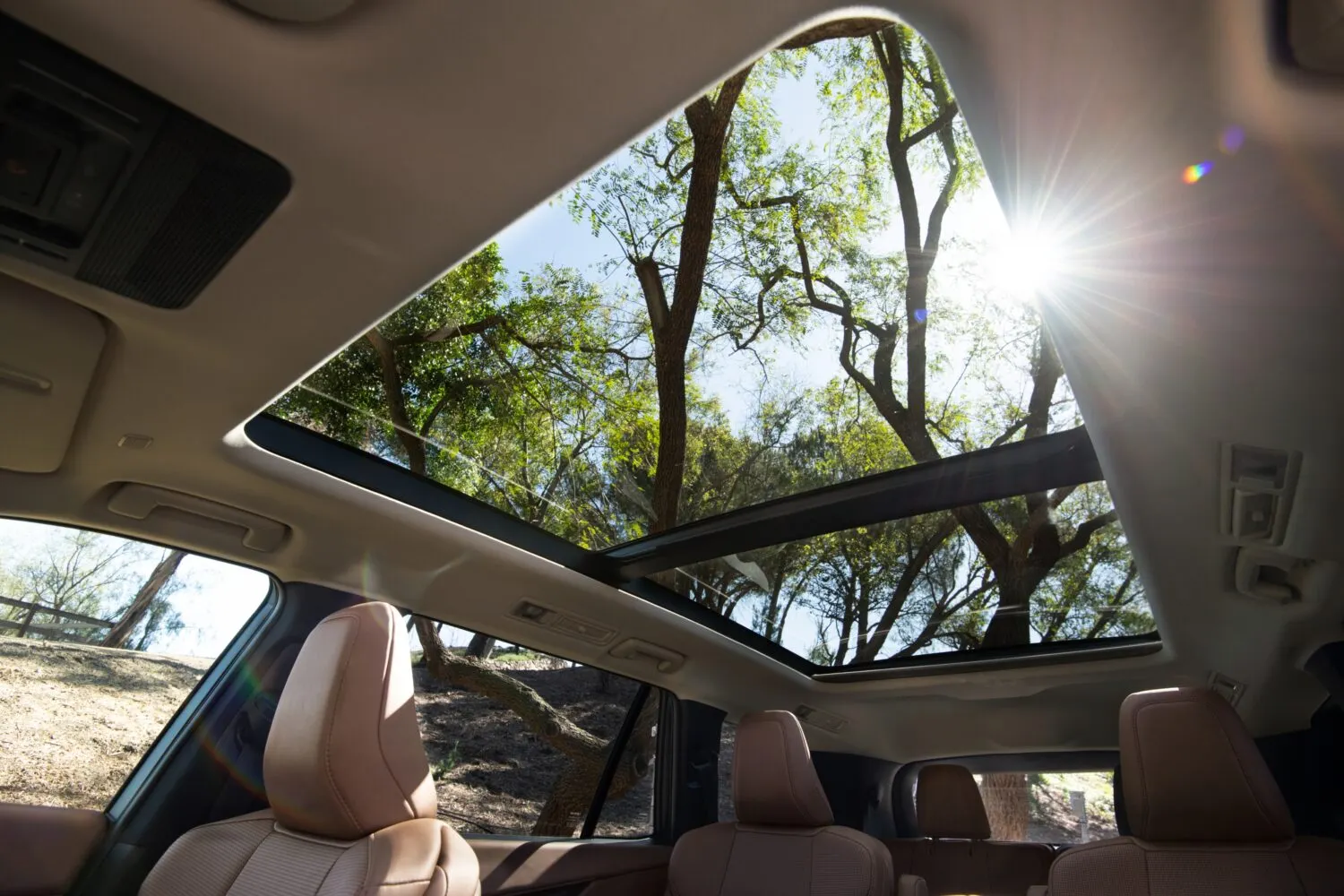 The large glass roof of the Lexus TZ shown from the driver front looking upwards.