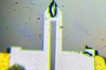 New quantum material switches superconductivity back on at 70 Tesla