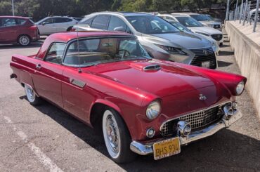 1955 Ford Thunderbird