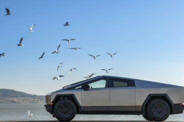 Tesla Cybertruck too safe for even Musk's biggest critics to ignore