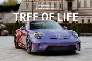 ⁠911 GT3 with Touring Package “Tree of Life” | Porsche Sonderwunsch