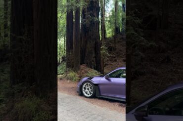 Find us in the forest #shorts