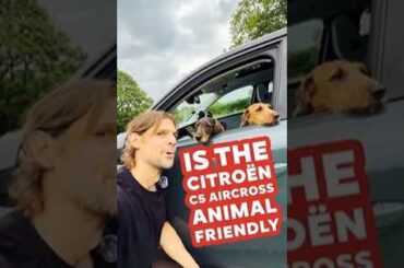 Is the Citroën C5 Aircross Animal Friendly?​