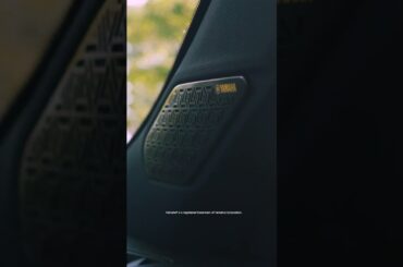 Black Edition Aesthetic