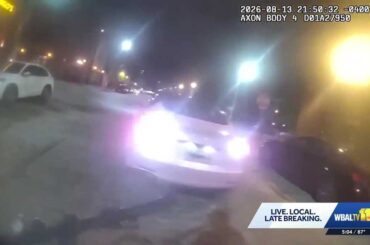 Tesla driver tried to run over officer twice over $30 citation