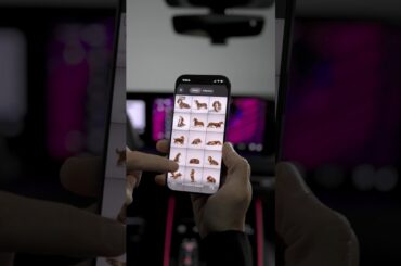 Explore Personal Themes in the myAudi app