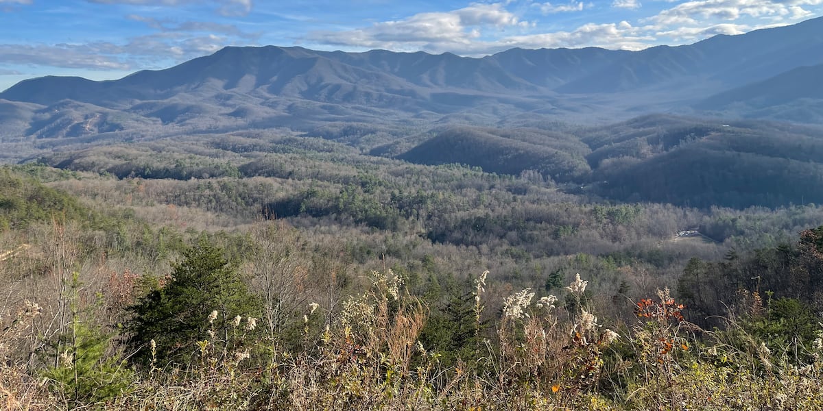 New National Park Service proposal could expand e-bike access in Smoky Mountains New National Park Service proposal could expand e-bike access in Smoky Mountains